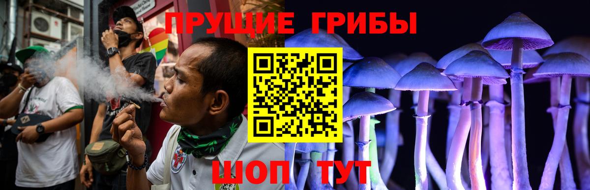 Псилоцибиновые грибы GOLDEN TEACHER  Галлюциногенные грибы мицелий  хочу наркоту  Вход с VPN  Ишим 